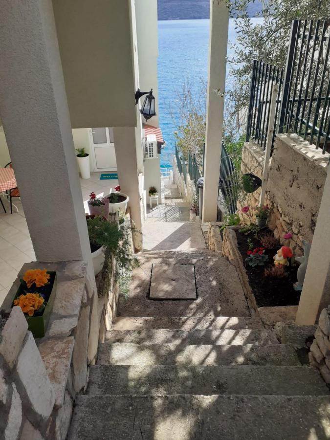 Apartmani Lezenic Dada نيوم المظهر الخارجي الصورة